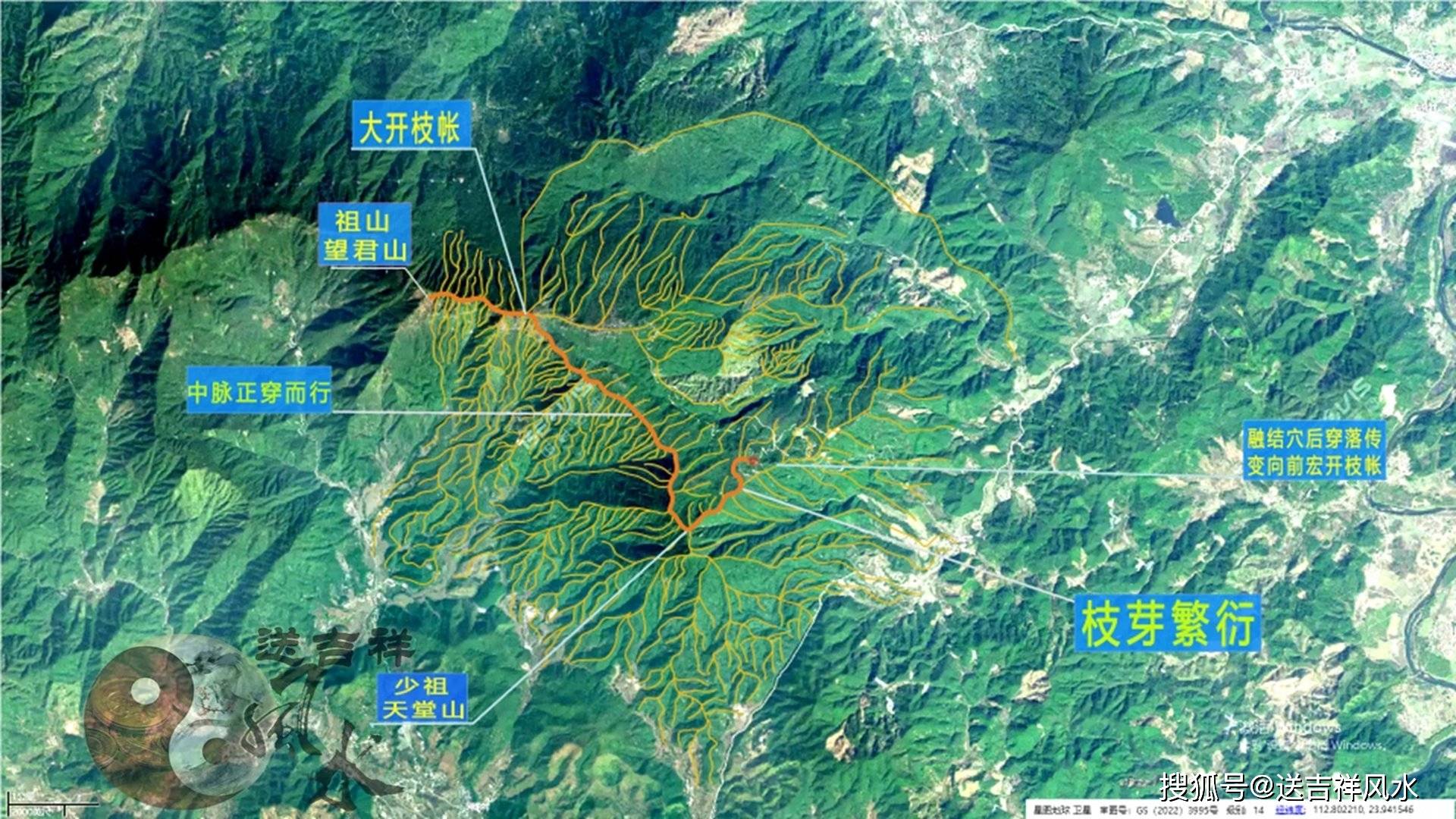 五脉绿绒蒿花（五脉绿绒蒿花） 第1张