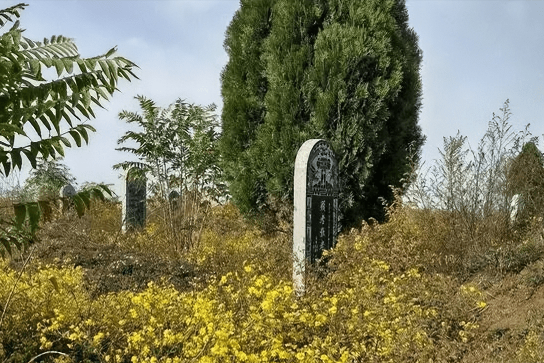 有何道理?_逝世者_人们_坟墓