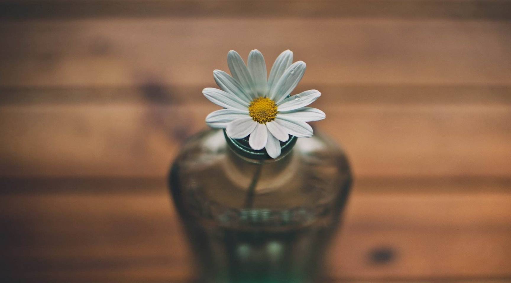 原创            脑筋急转弯：什么样的男人可以轻松迷倒任何女人？-什么样的男生最专一