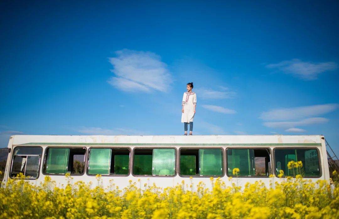 100@365一个人最聪明的活法：少怒，少虑，不怨，不比