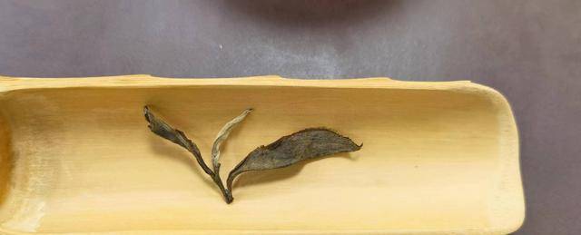 云南普洱茶是"瓜芦"?