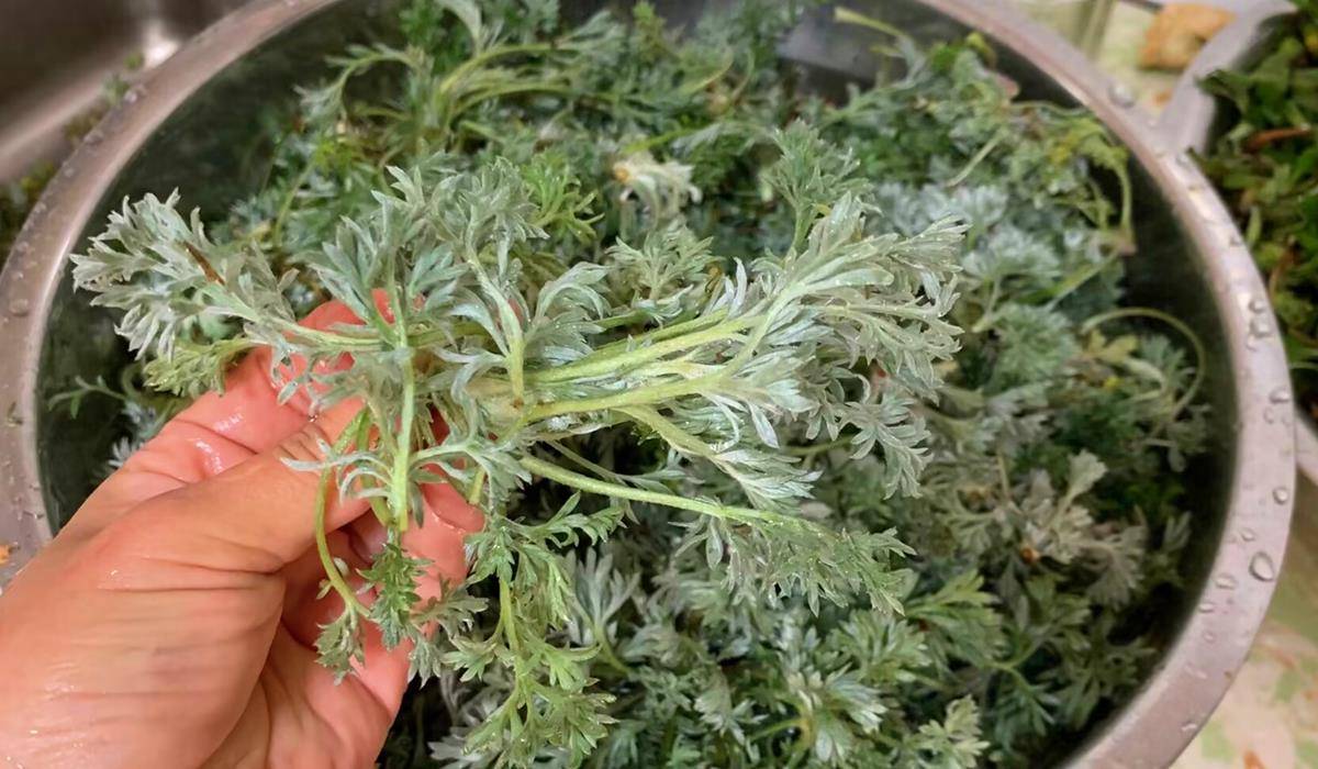 野菜_清水_过程