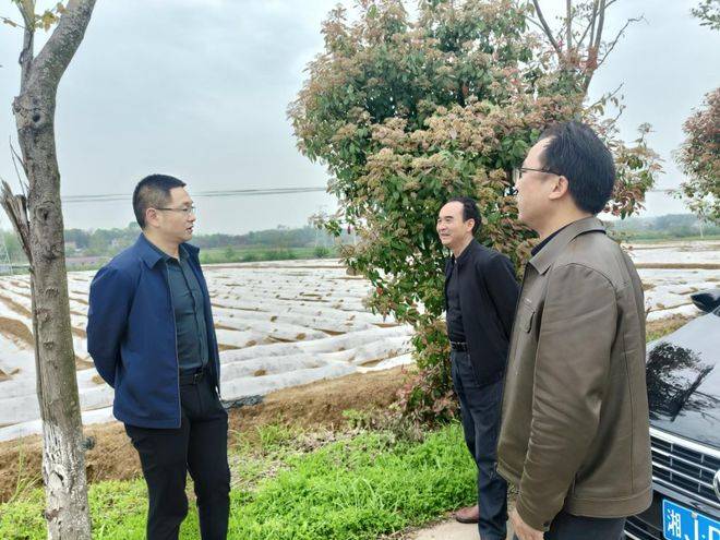桃源县漆河镇:督导"春苗行动" 促进耕地保护_工作_覃英俊_情况