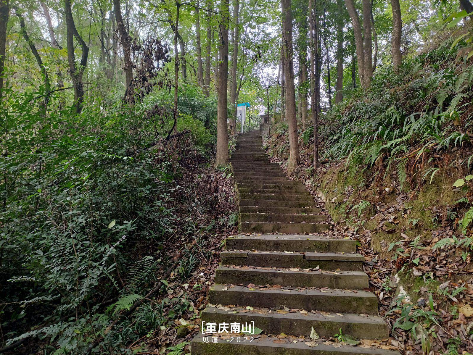 重庆南山入门登山攻略|上新街·杨家山步道_by_黄桷_前驱