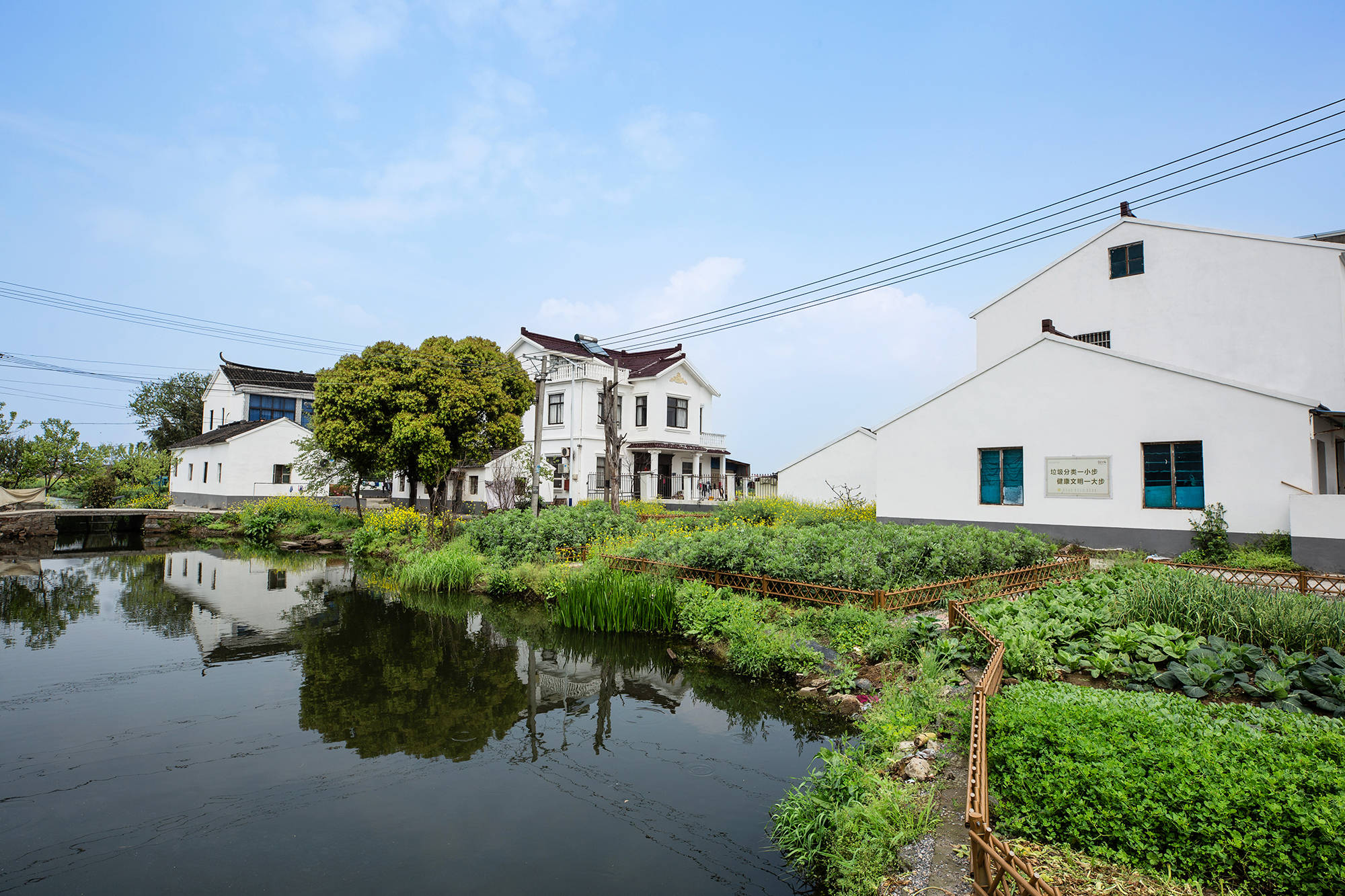 石桥村:旧村换新貌,村民露笑颜_乡村_村庄_北桥街道