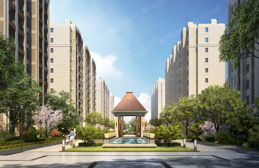 枫泾镇_生活_匠心