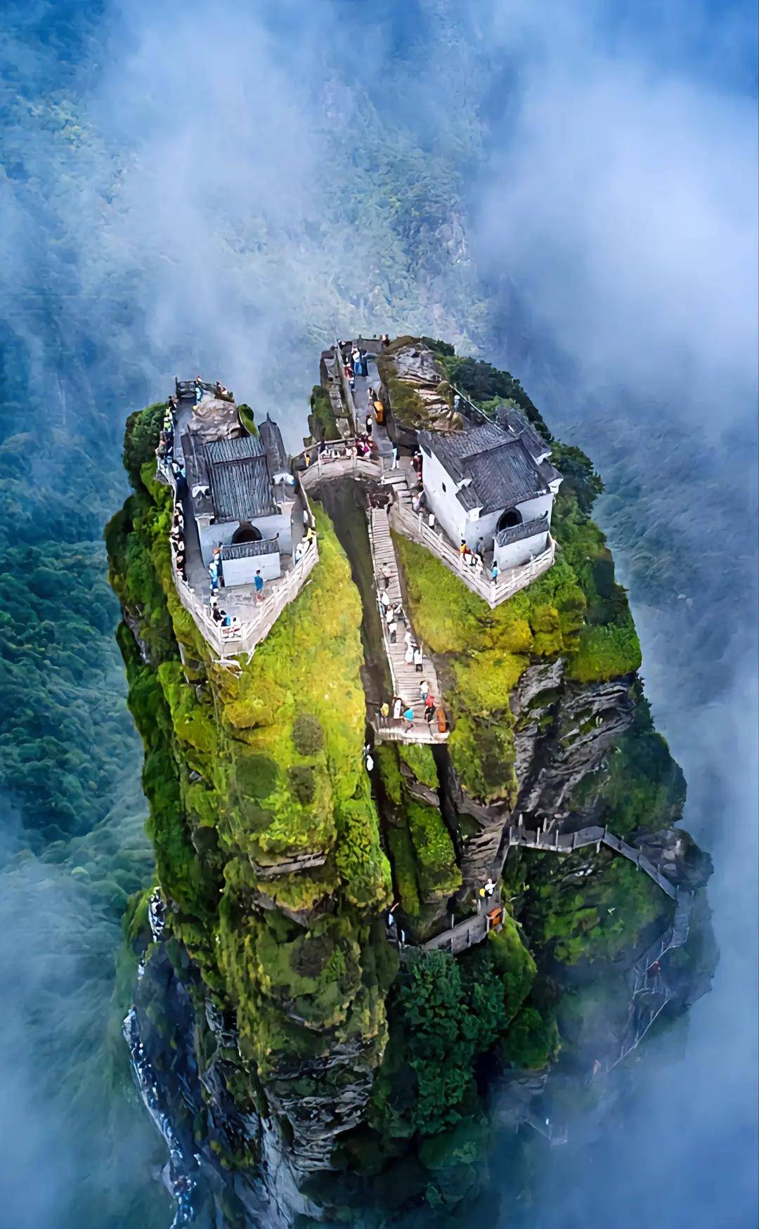 梵净山_景点_杜鹃