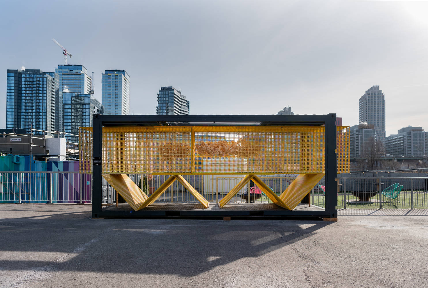 miura, matei rau, madeline planer, matthew firestone制造商:giant