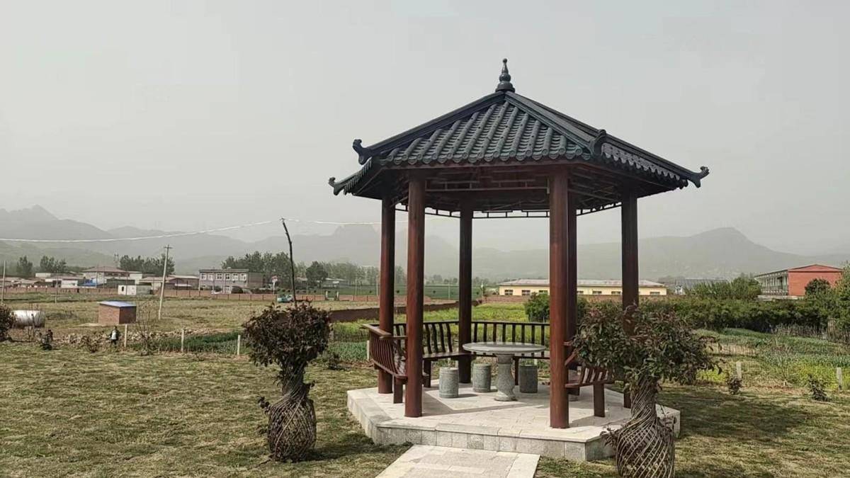 遂平县嵖岈山镇海眼村 留住生态美,醉心山水间_环境_人居_群众