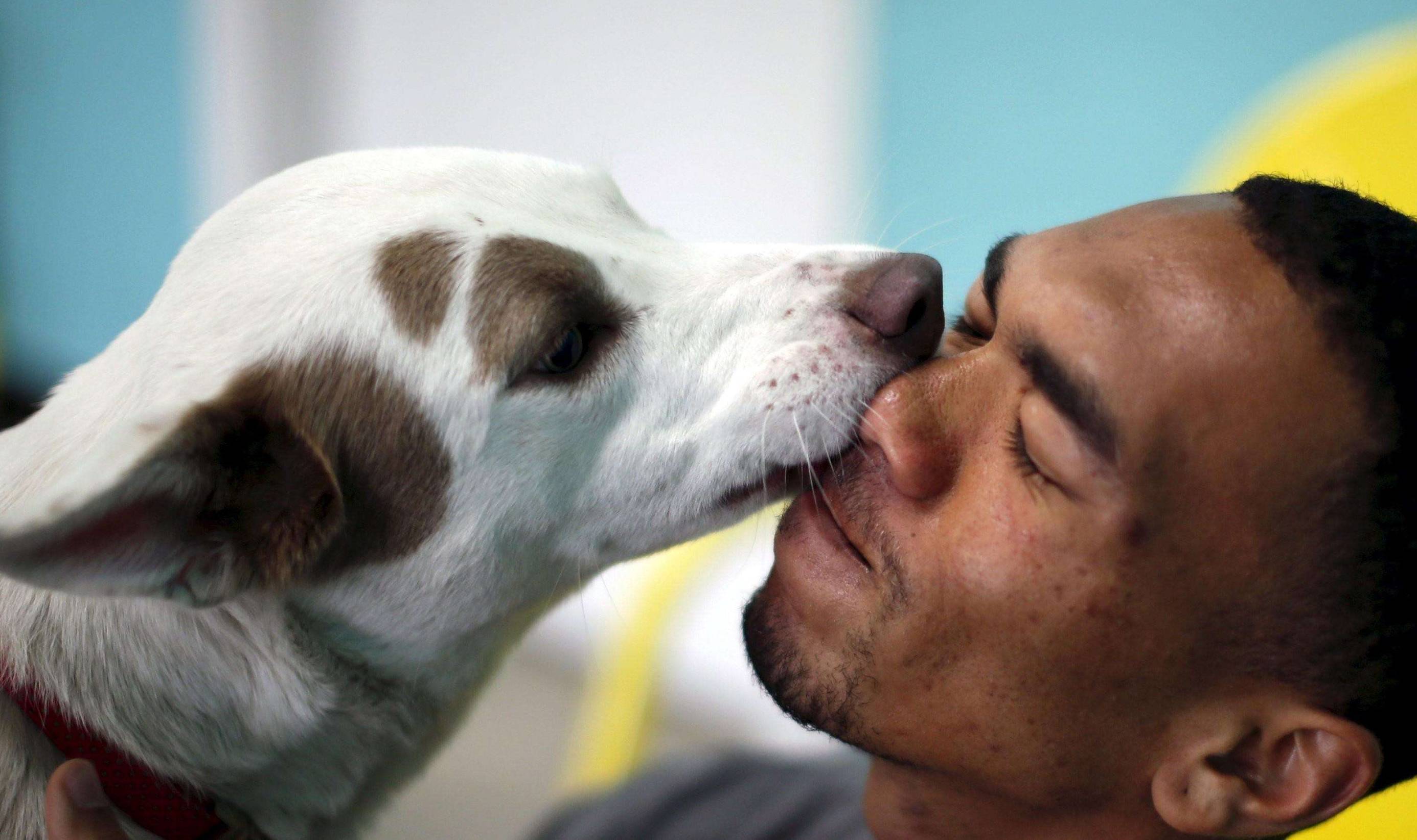 舔你,不是想当舔狗,是有原因的_时候_主人_零食