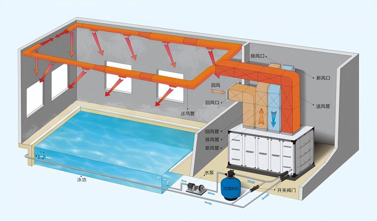恒温游泳池设备配置图片