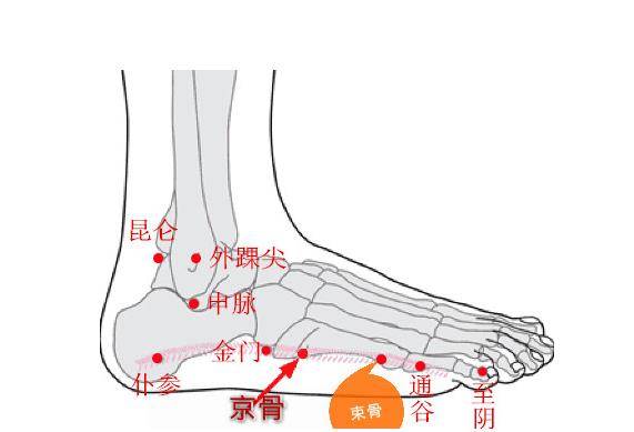 最完整的经络笔记足太阳膀胱经