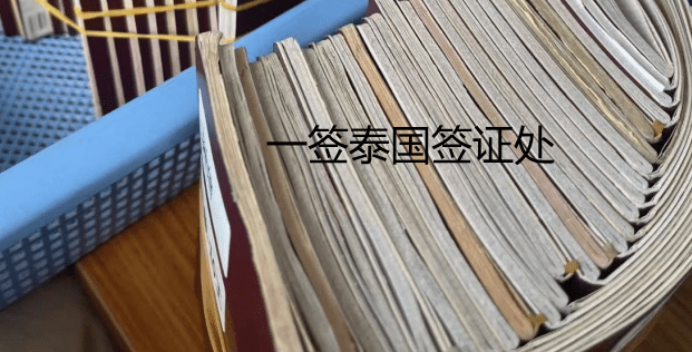 泰国养老签证续签材料（养老签体检要求）  第3张