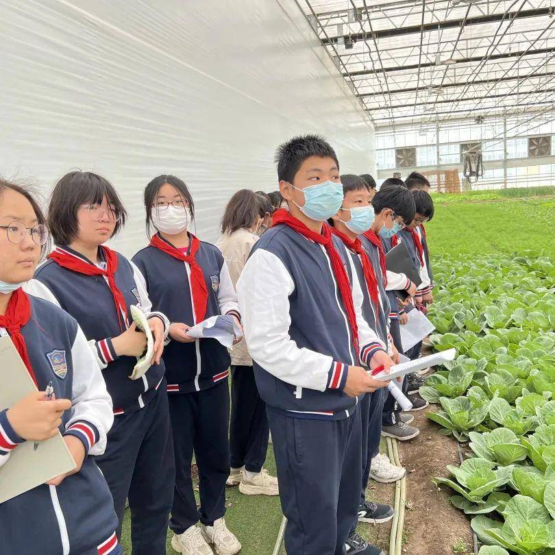 【立德树人】顺义空港第二小学六年级师生走进兰泊湾生态农场_活动