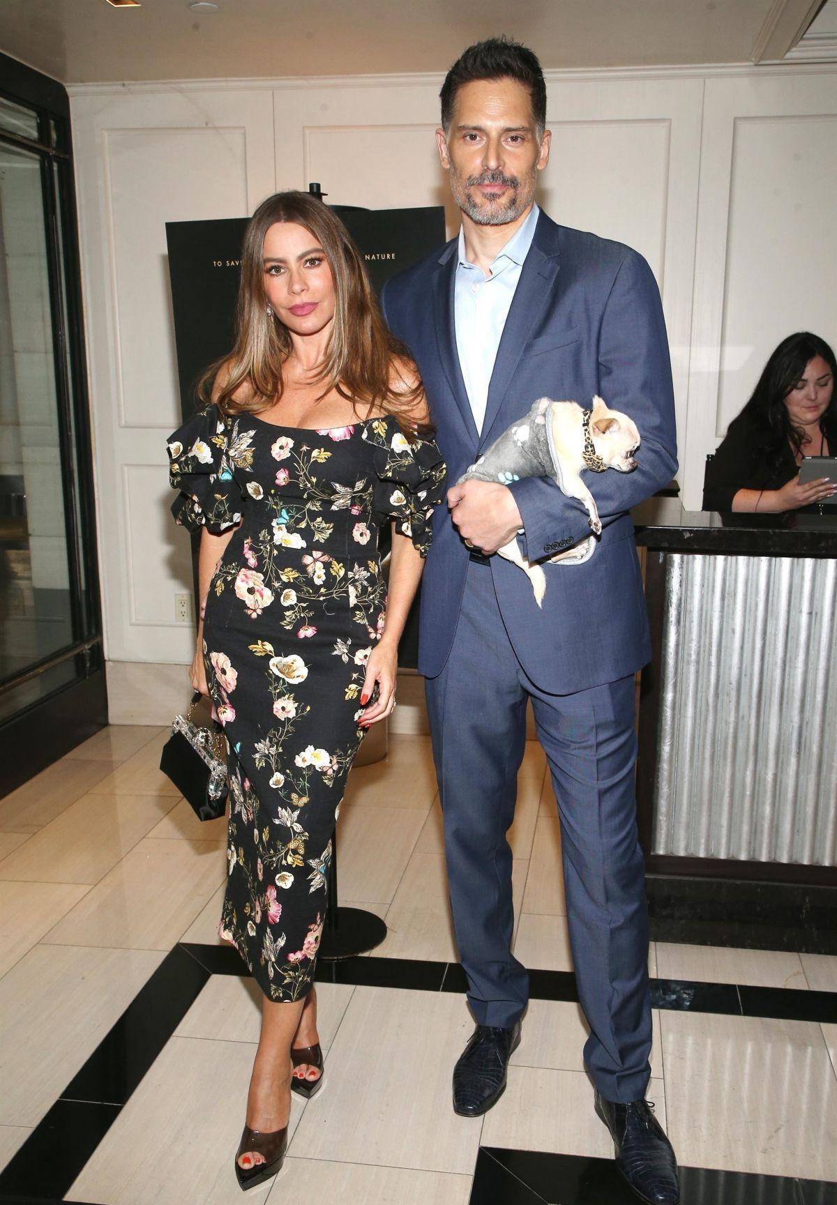 美国女星索菲娅·维加拉 (sofia vergara)的性感高跟鞋_皮革_黑色