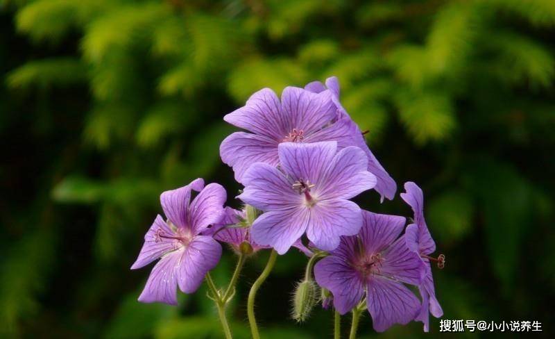 下个月开始,再续前缘有始有终,再相爱一次,不离不弃的4大星座_感情