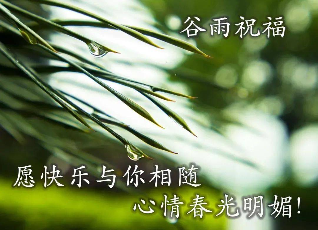 这都可以（教师节快乐图片）教师节快乐图片大全好看 第4张