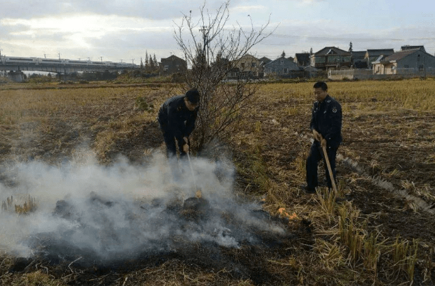 185人烧秸秆被罚1.78亿是真的吗?官方回应不是对农民的处罚