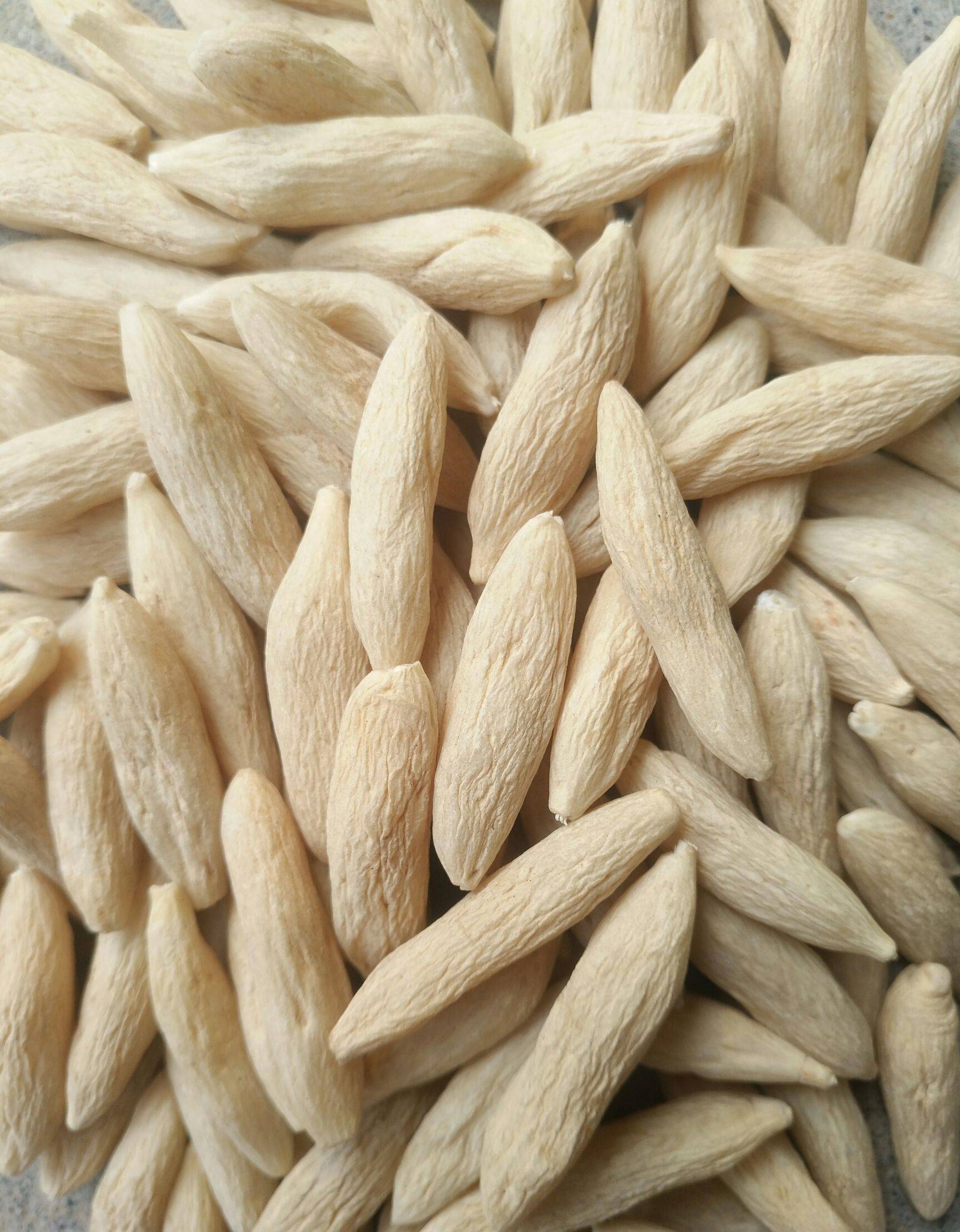 学好中国话,讲好中国医药故事之-麦冬_老百姓_大禹_河神