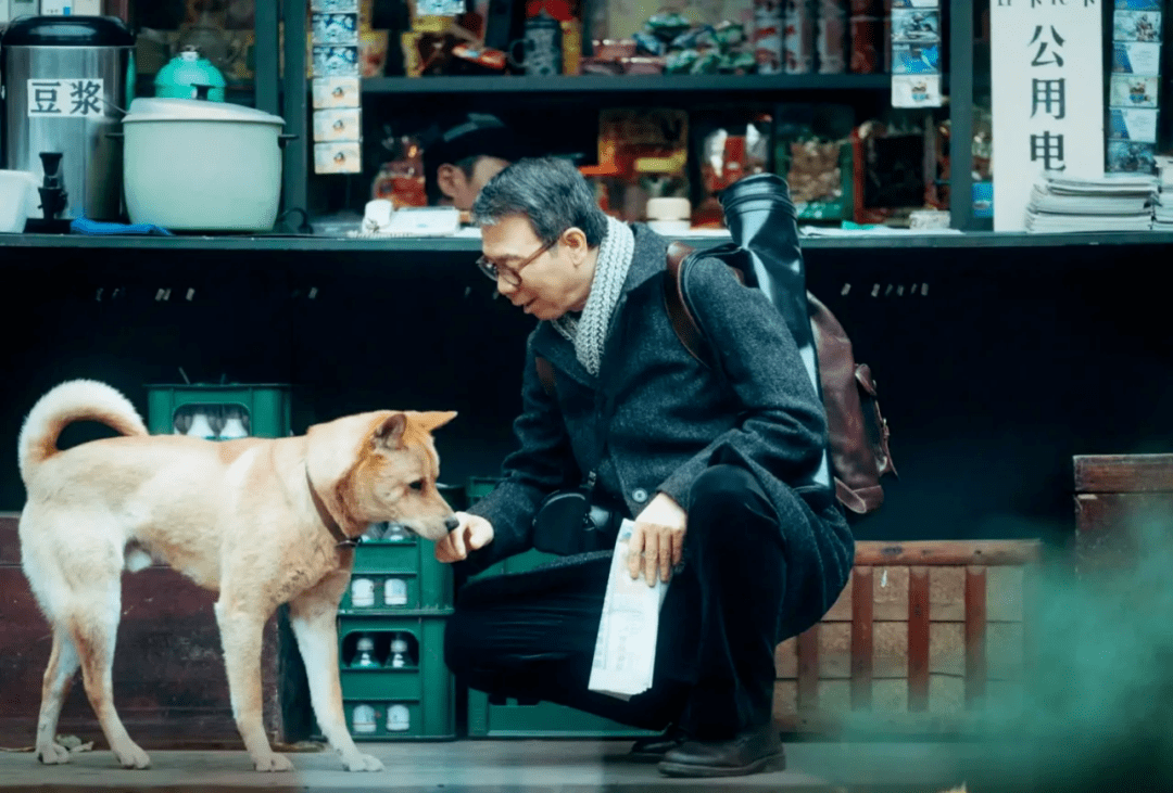 《忠犬八公》山城重庆的爱与别离