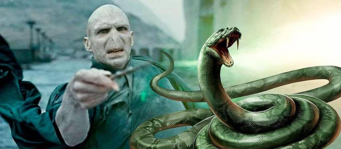 《哈利波特》,伏地魔是怎么认识纳吉尼的,为什么选择她做魂器?