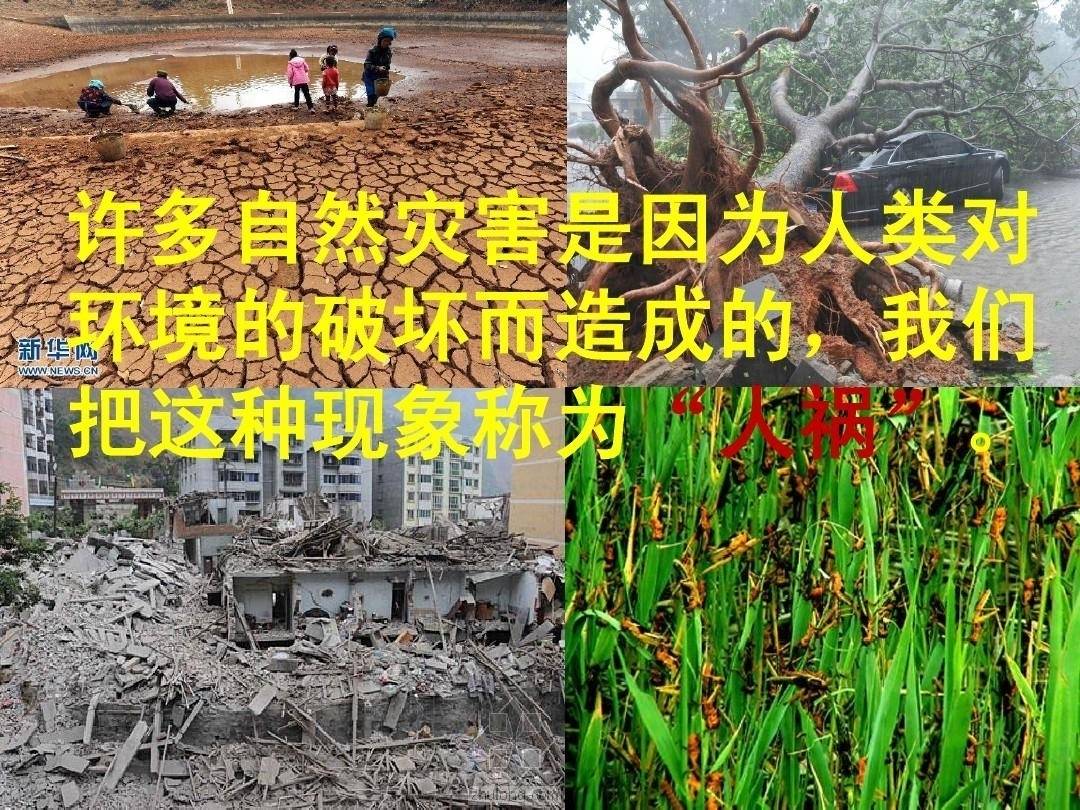 2023极端天气频繁,全球面临哪些挑战_影响_自然灾害_高温