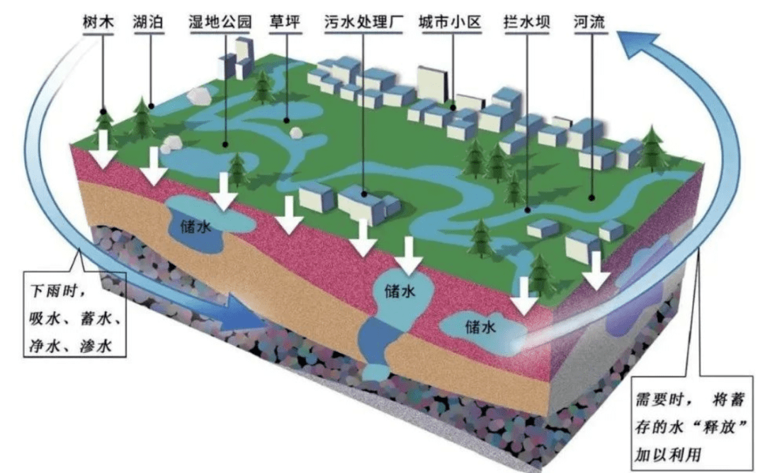 保山:全面推进海绵城市建设 打造生态宜居城市_工作_管网_排水