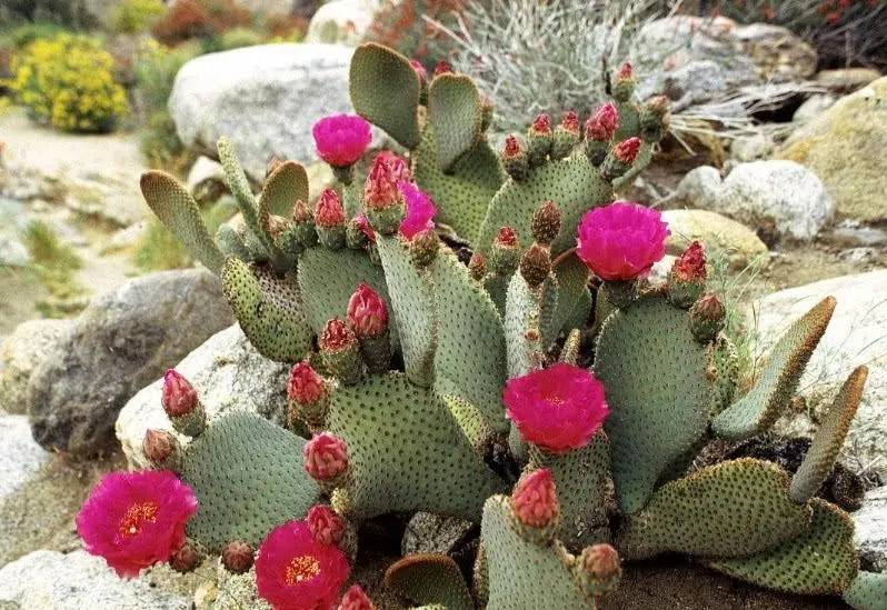 花宝（花宝金 广安门医院） 第4张