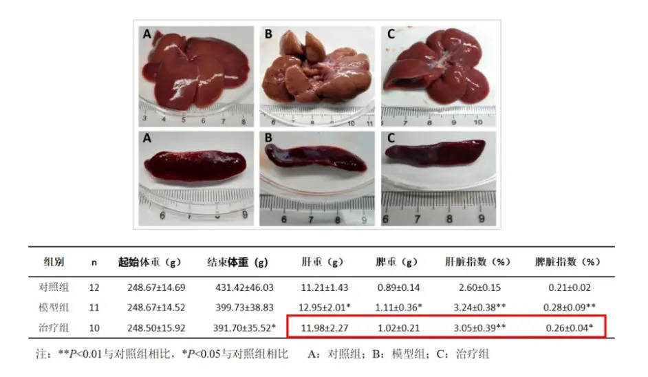 强肝胶囊对ccl4诱导的肝纤维化大鼠肝组织tgf