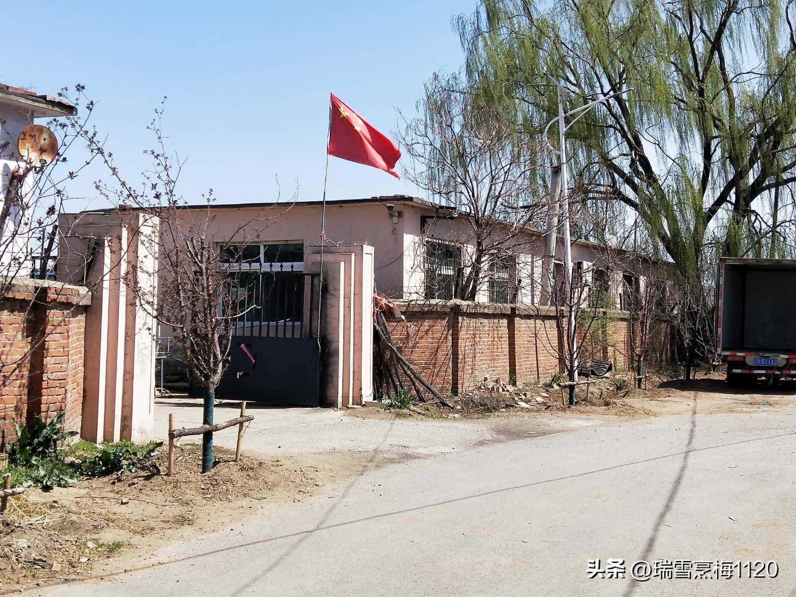 学校教育宋家岗小学,建于1946年