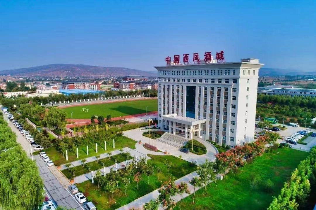 宝鸡市凤翔区:高质量项目支撑高质量发展_建设_发电_正在进行