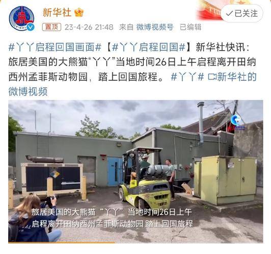 “丫丫”回国后首次露面 终于顺利回归 平安落地-丫丫什么时候回国