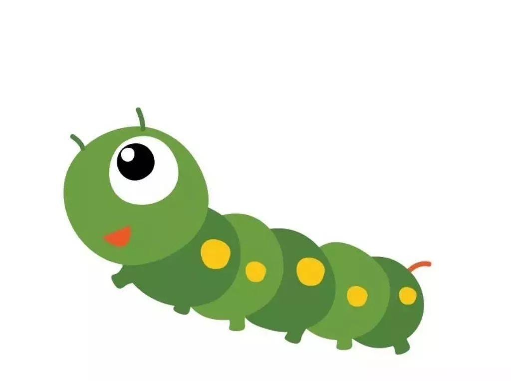 胎教故事:毛毛虫的理想_瓢虫_小鸟_虫子