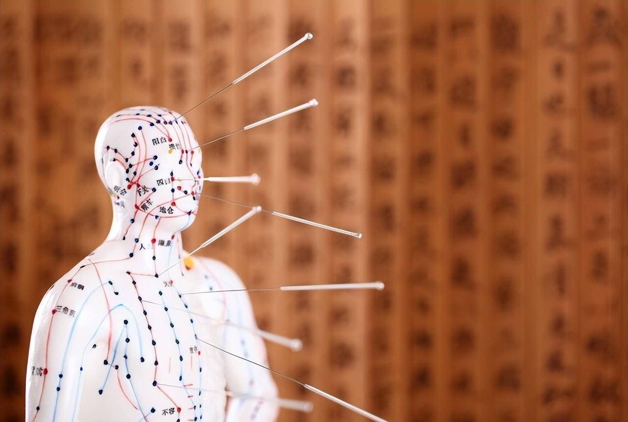 针灸和养生保健-调整人身阴阳之气,发挥治病保健作用_针刺_的作用