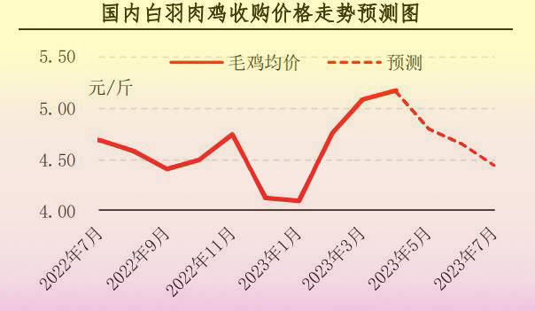 【行情】4月肉鸡市场行情分析及5月预测