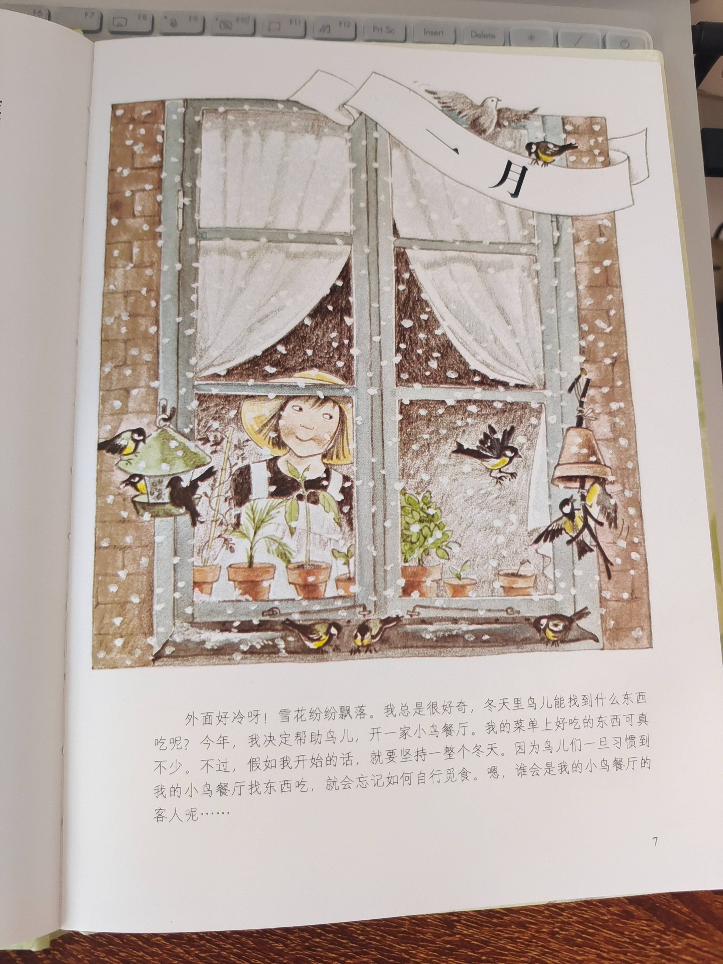 小莲的花草四季》：小莲的好奇心与快乐生活_手机搜狐网