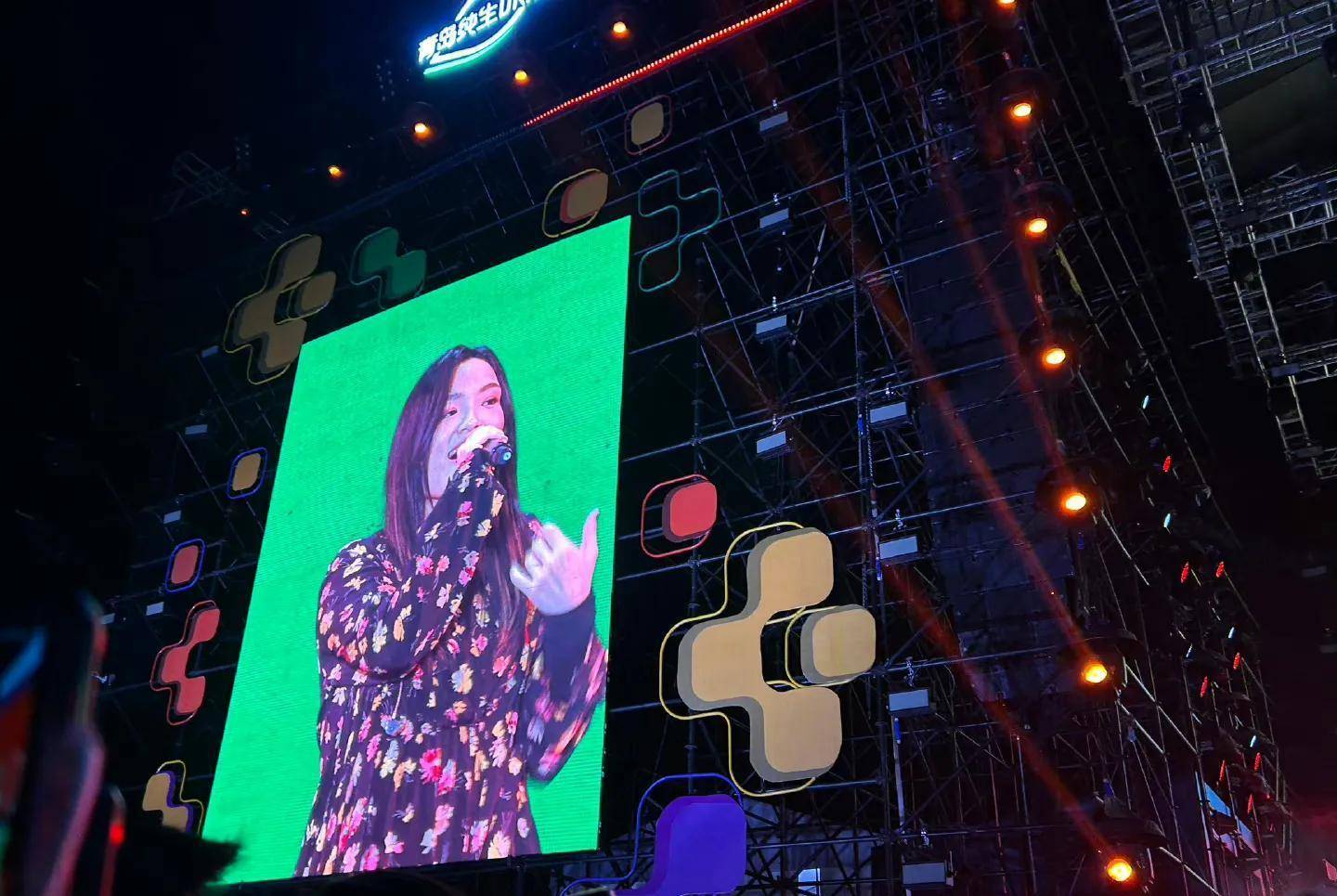 她唱《身骑白马》，她说“我回来了，我不再生孩子了”_搜狐网