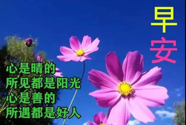 一声问候,把受伤的心灵抚慰;一条短信,把我的祝福传送:愿早上好心情!