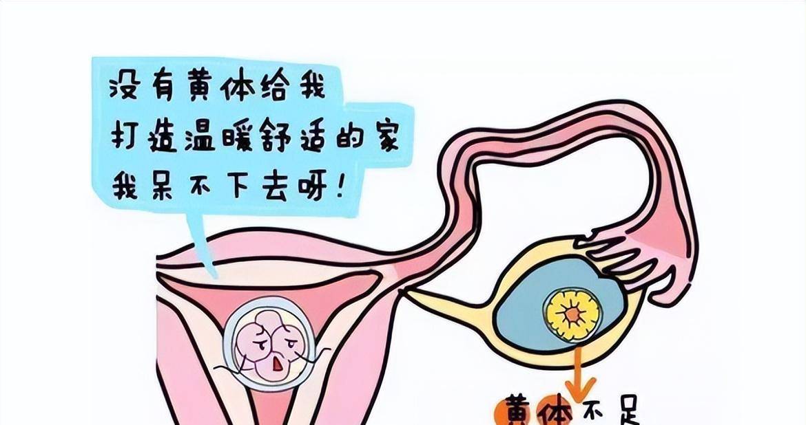 二椅子人的器官的图图片