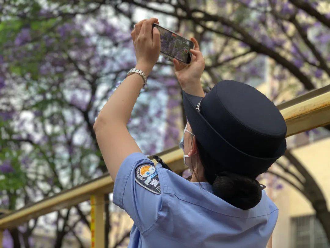 鲜花花车（鲜花花车图片 鲜花花车图片大全） 第5张