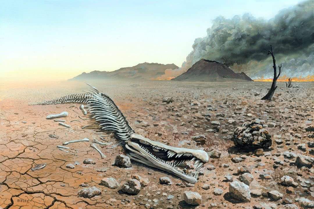 古生物学家将其成为"奥陶纪-志留纪灭绝事件,第二次生物大灭绝出现于