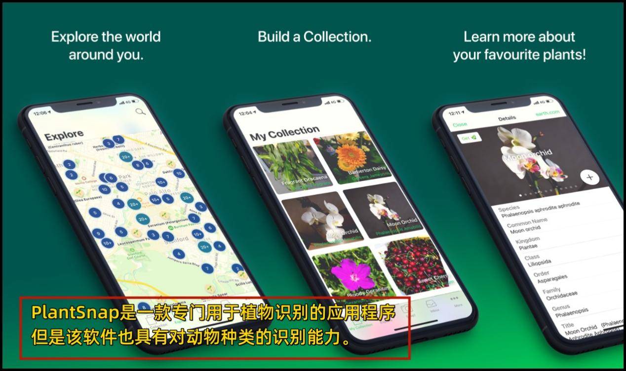 识别动物扫一扫怎么做?马上就告诉你