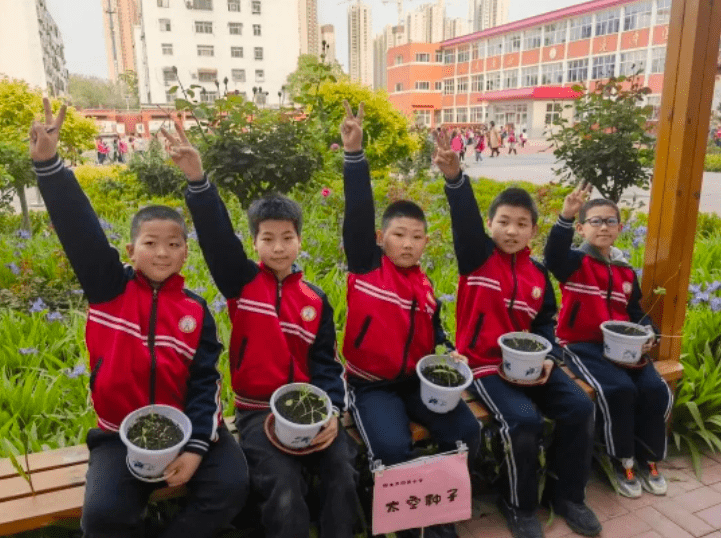 种植白芨种子（桑黄中药材销售与收购地址） 第11张