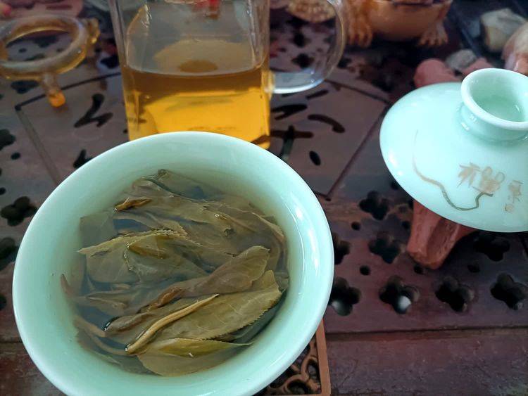 品鉴南糯山古树茶_茶树_老寨_汤色