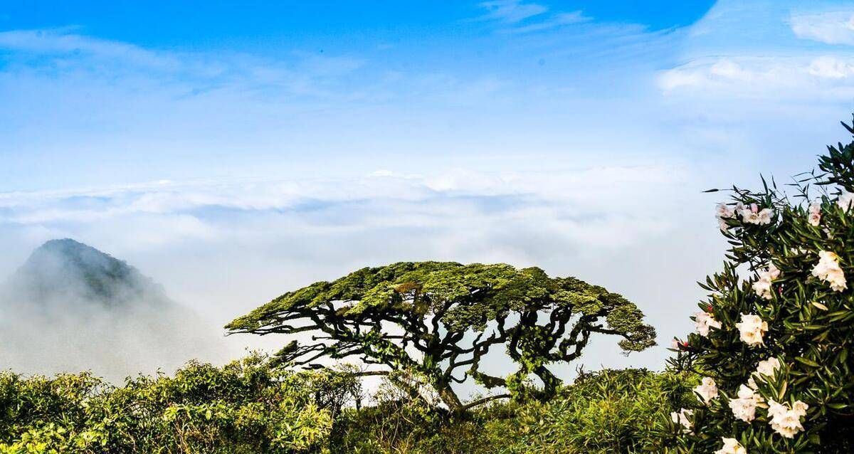 广西瑶山风景形容图片