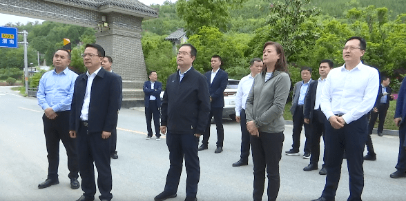 蓝田县委书记林梅,县委副书记赵刚及区领导胡醒亚,荆瑾,陈灵等参加