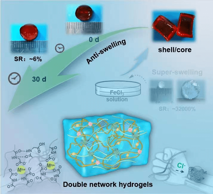 化學所王星團隊在可控雙交聯高強水凝膠領域取得新進