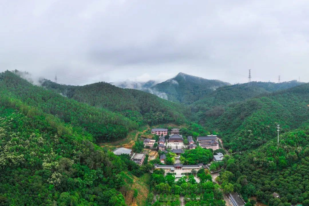 经黄江大道东右转进入宝山森林公园,再漫步通向宝山森林的路上,向着
