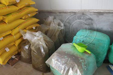 益生菌在液态饲喂养殖中,真的可以改善饲料品质!_效益_抗生素_肠道