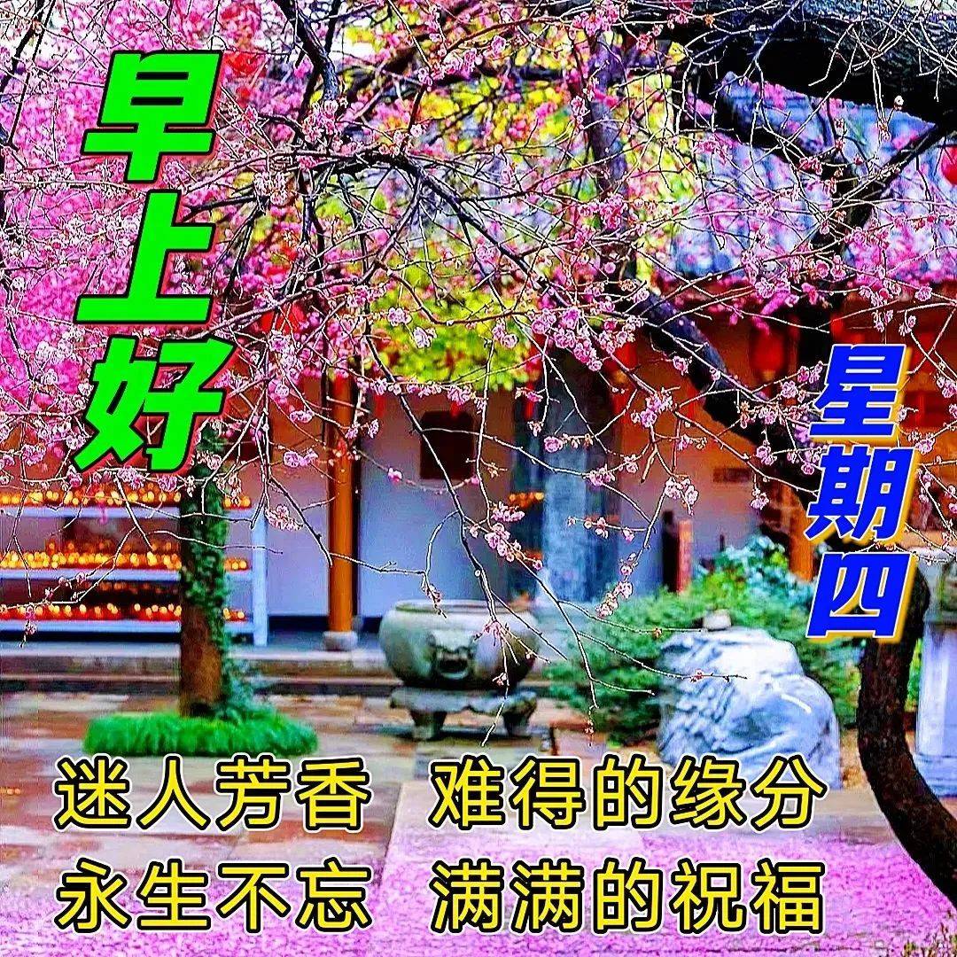 2023年5月11日週四早上好問候祝福動態表情圖片 週四最新早安問候祝福